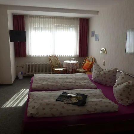Hotel Restaurant Baeren 3*